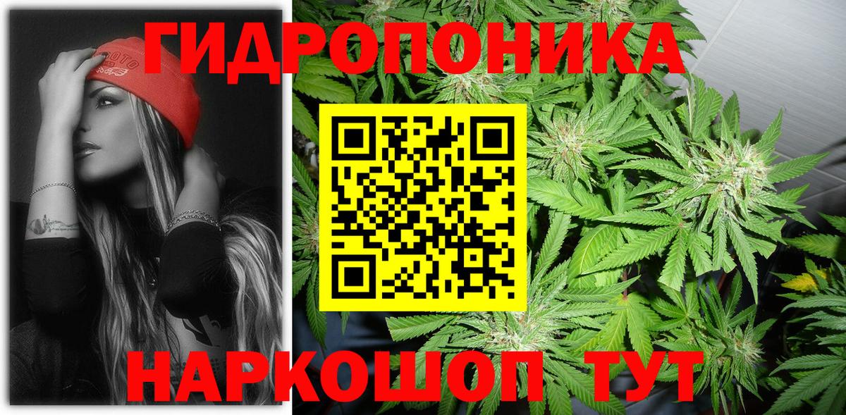 Каннабис конопля  Вход с VPN  Зерноград  Канабис ГИДРОПОН 